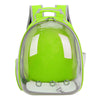 Solid Color Transparent Pet Bag Cat