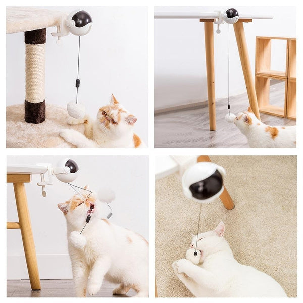 Electric Automatic Interactive Motion Ball Toy For Cats