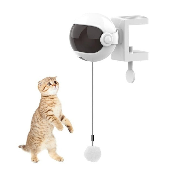 Electric Automatic Interactive Motion Ball Toy For Cats