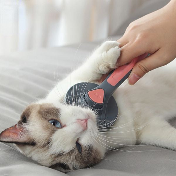 Pet Comb Brush