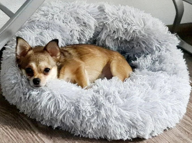 Plush Round Dog or Cat Bed