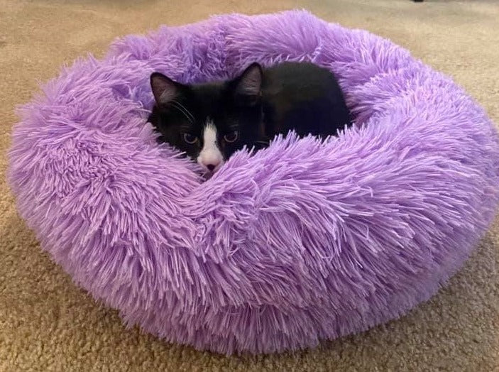 Plush Round Dog or Cat Bed